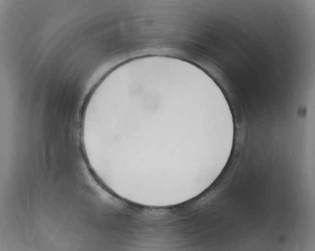 X0000112391046200909241234