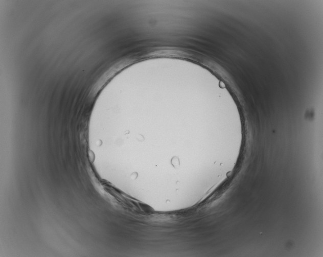 X0000112391049200909241234