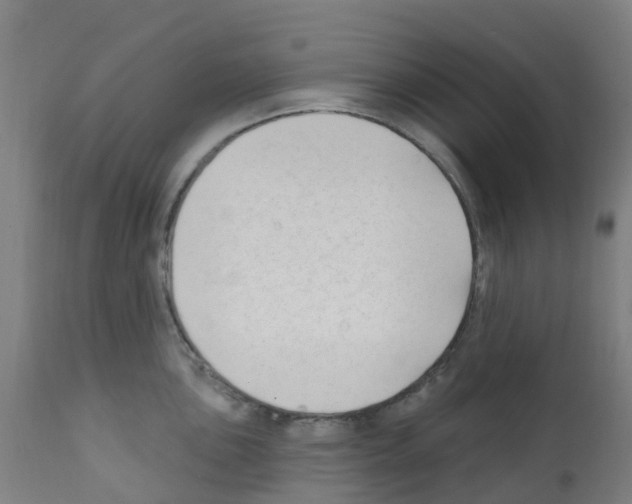 X0000112391051200909241234