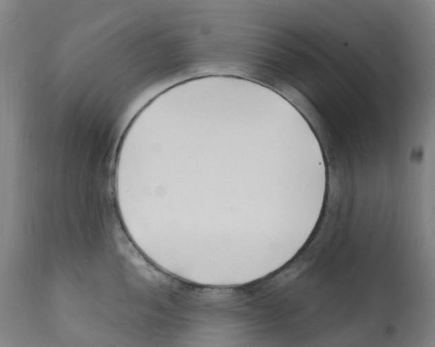 X0000112391052200909241234