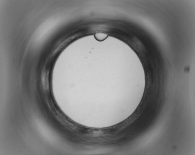 X0000112391054200909241234