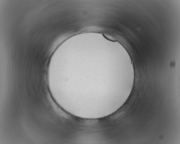 X0000112391055200909241234