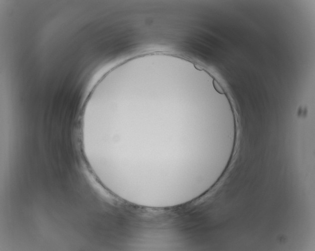 X0000112391056200909241234