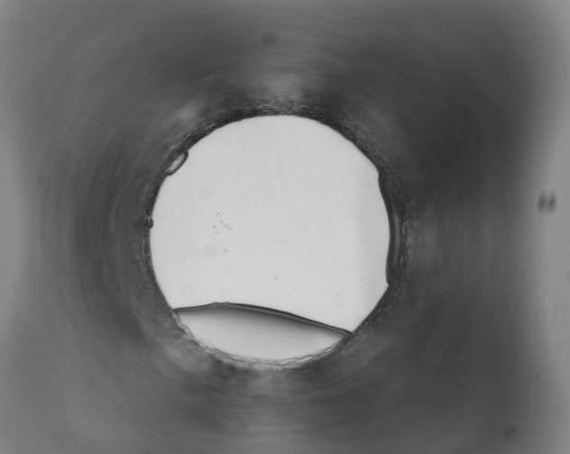 X0000112391057200909241233