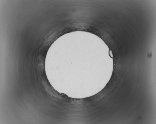 X0000112391058200909241233