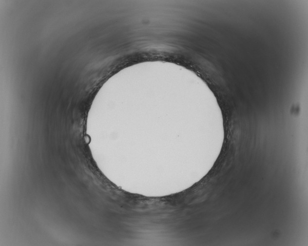 X0000112391061200909241233