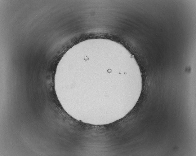 X0000112391062200909241233