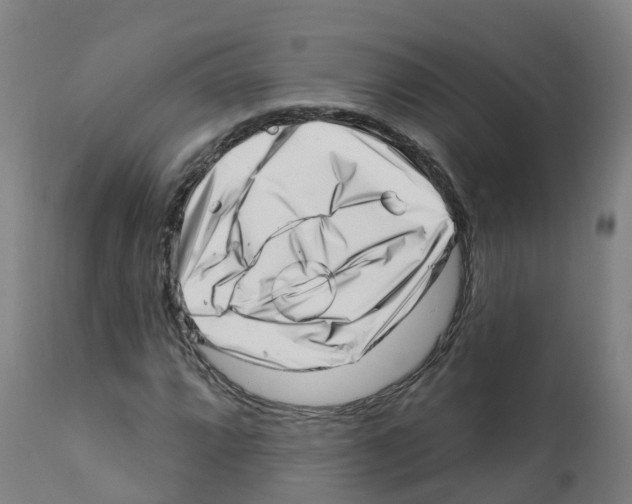 X0000112391064200909241233