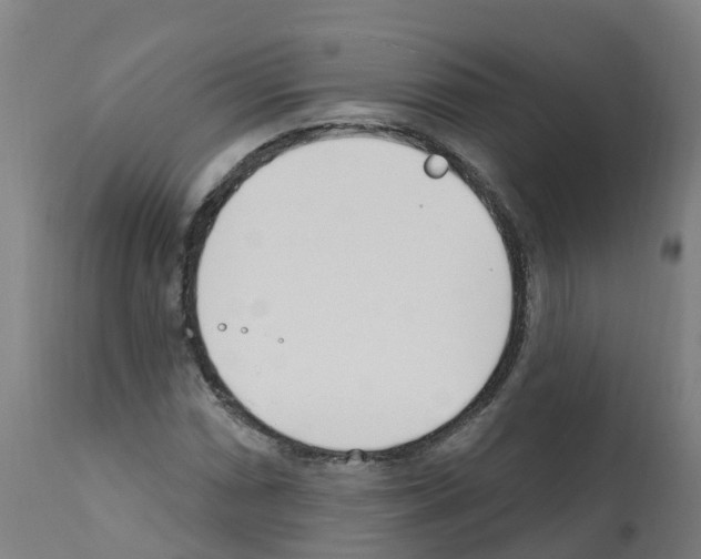 X0000112391066200909241233