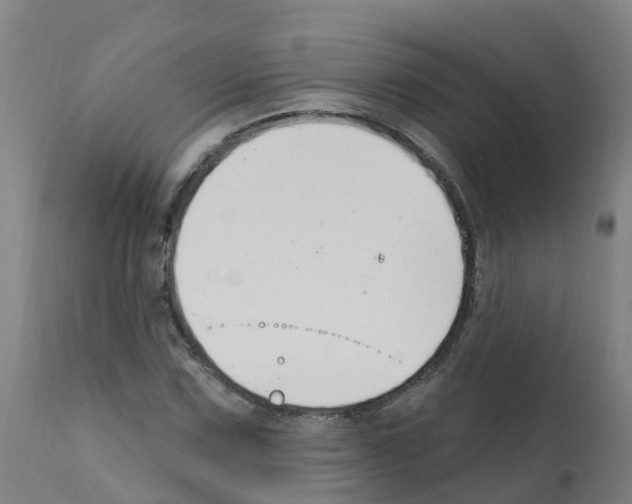 X0000112391067200909241233