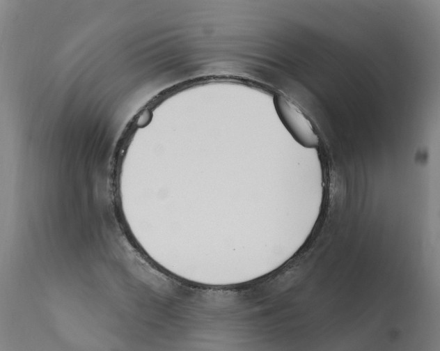 X0000112391068200909241233