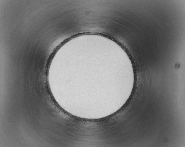 X0000112391071200909241233
