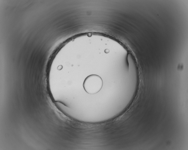 X0000112391072200909241233