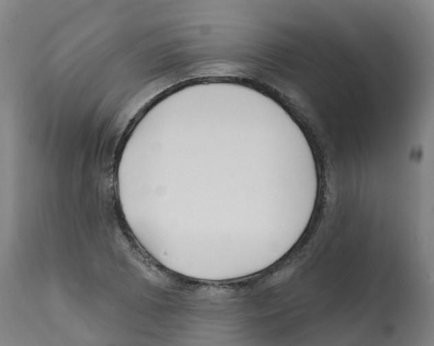 X0000112391073200909241233