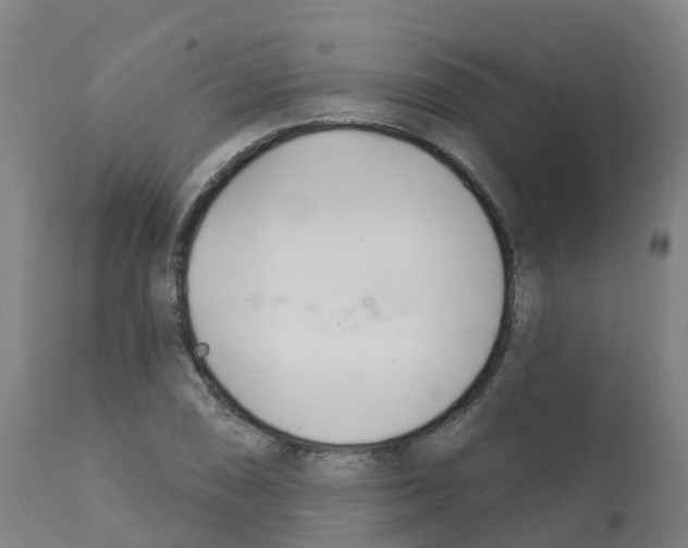 X0000112391074200909241233
