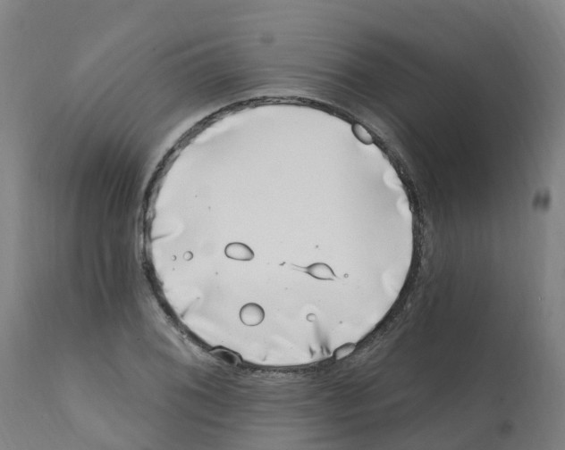 X0000112391076200909241233