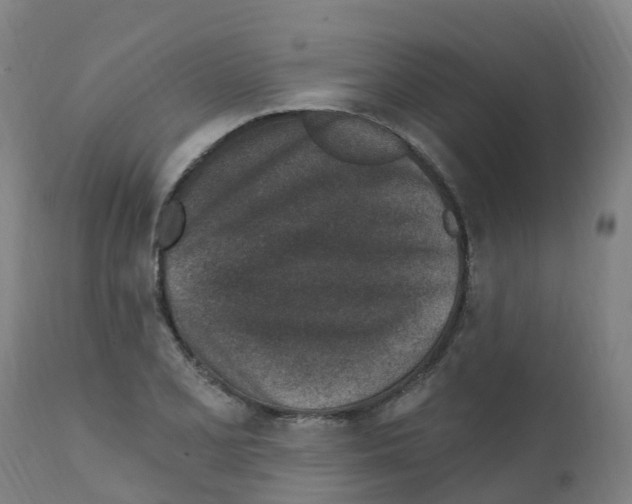 X0000112391077200909241233