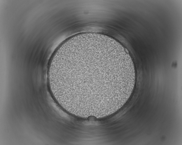 X0000112391083200909241233