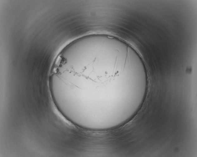 X0000112391084200909241233