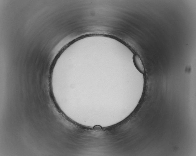 X0000112391085200909241233