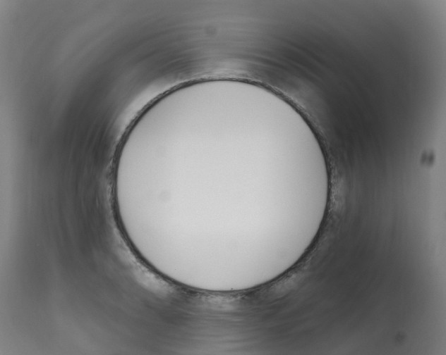 X0000112391086200909241233