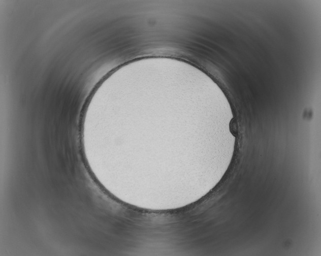 X0000112391087200909241233