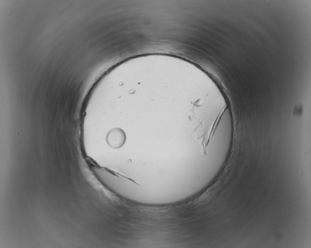 X0000112391088200909241233