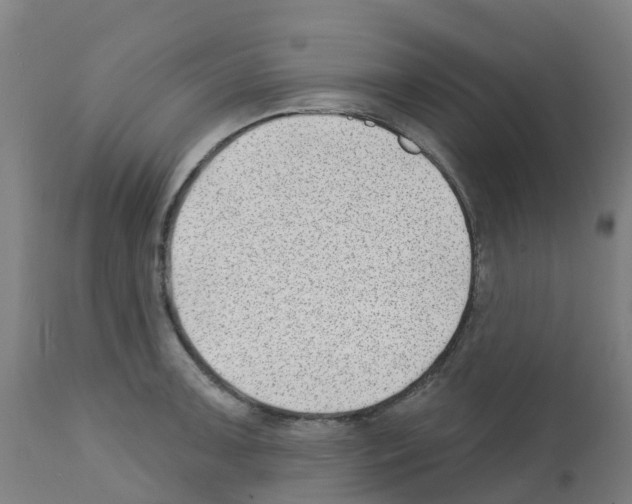 X0000112391091200909241233