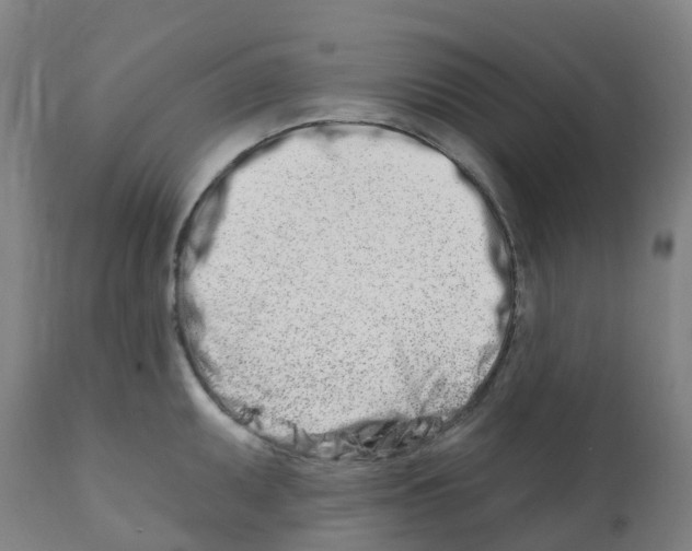 X0000112391095200909241233