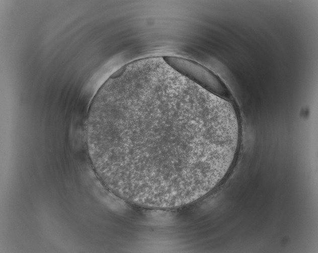 X0000112391097200909241233