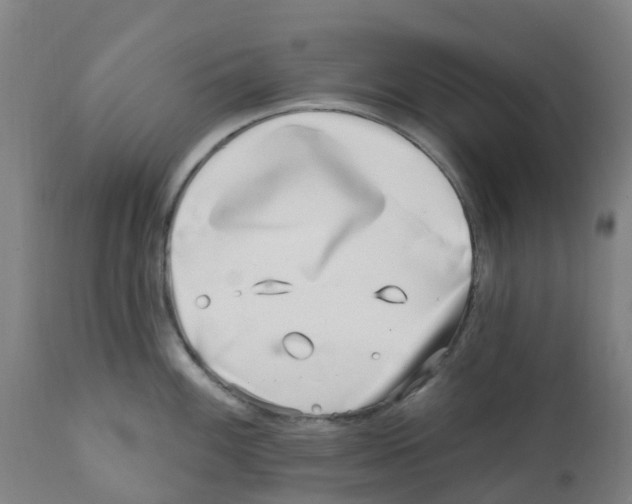 X0000112391100200909241233