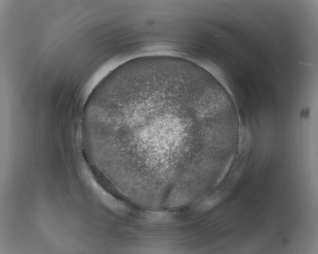 X0000112391101200909241233