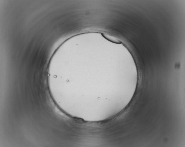 X0000112391102200909241233
