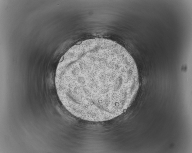 X0000112391106200909241232