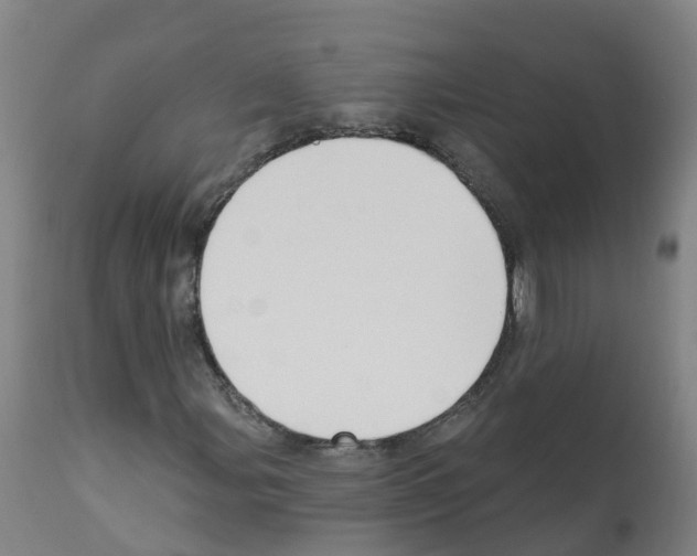 X0000112391107200909241232