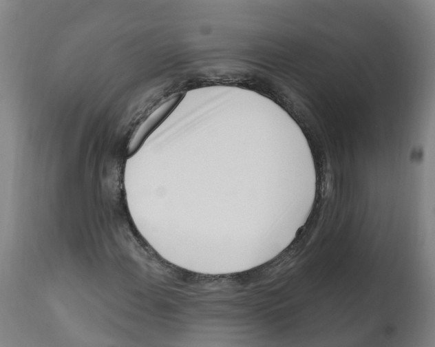 X0000112391108200909241232