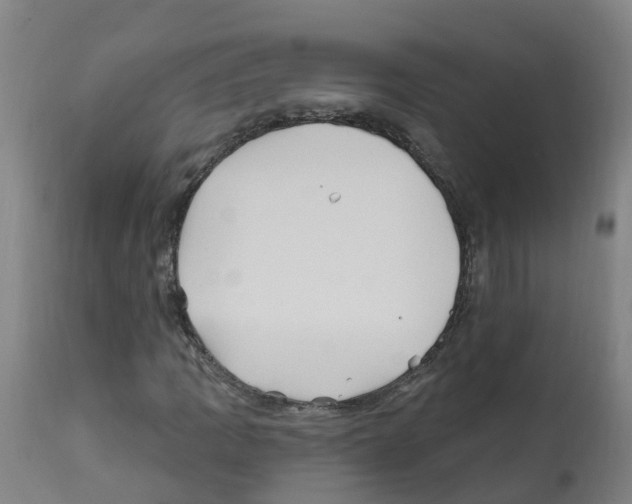 X0000112391109200909241232
