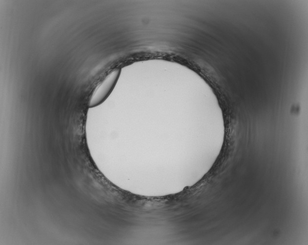 X0000112391110200909241232