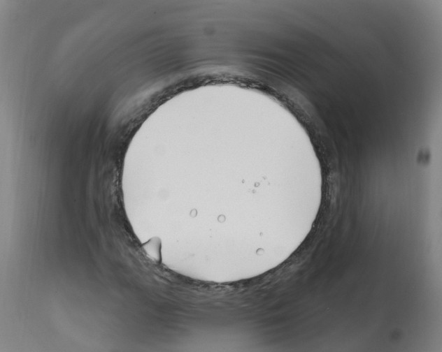 X0000112391111200909241232