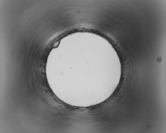 X0000112391112200909241232
