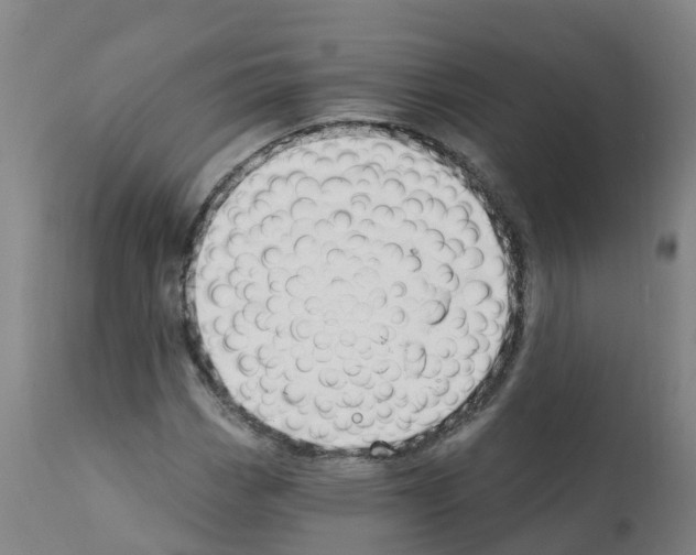 X0000112391113200909241232