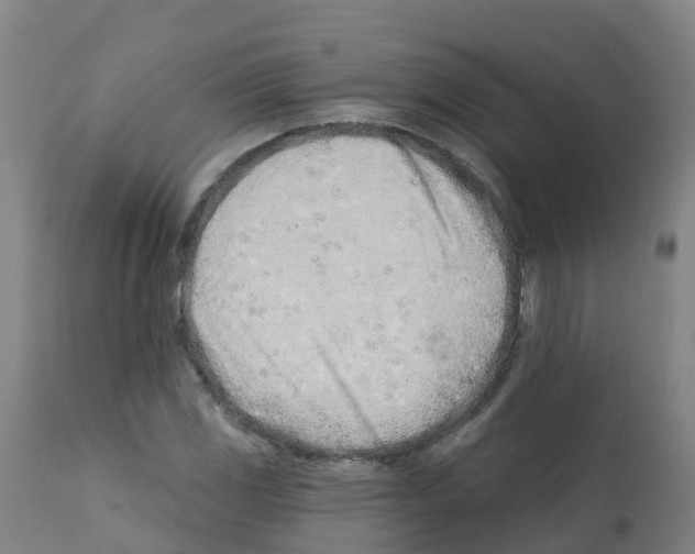X0000112391117200909241232