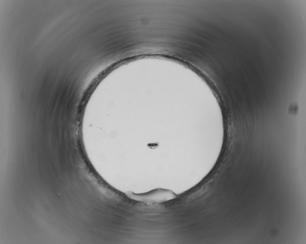 X0000112391119200909241232