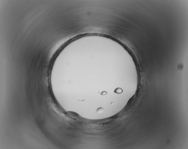 X0000112391120200909241232