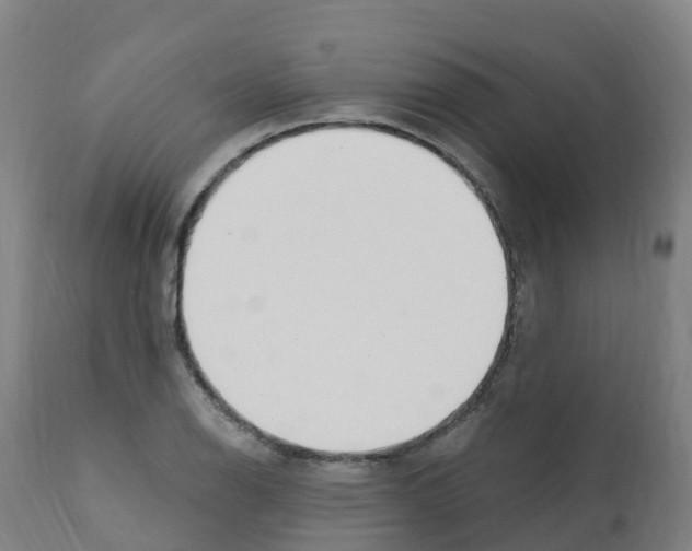 X0000112391126200909241232
