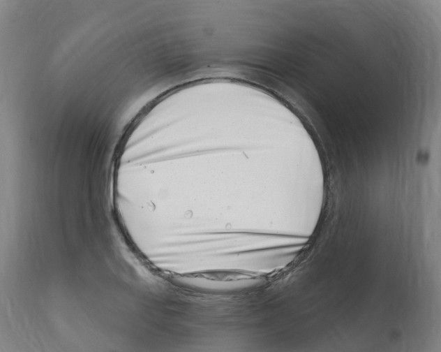 X0000112391127200909241232