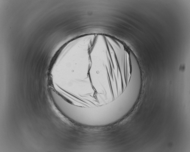 X0000112391134200909241232