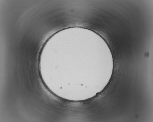 X0000112391135200909241232
