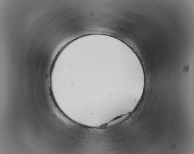 X0000112391136200909241232