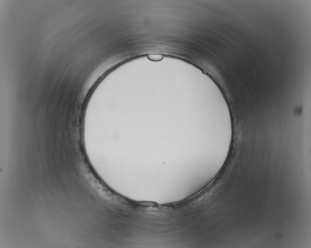 X0000112391138200909241232